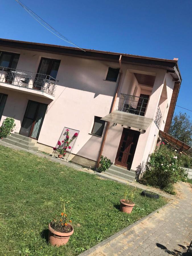 Hotel Silviu Baile 1 Mai Exterior foto